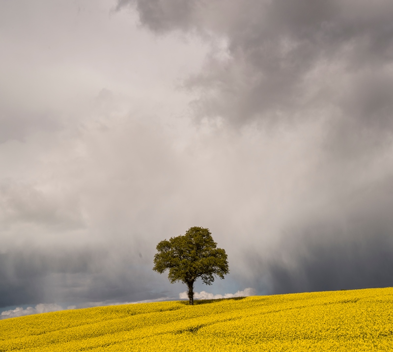 Composition – Keeping It Simple Composition – Keeping It Simple