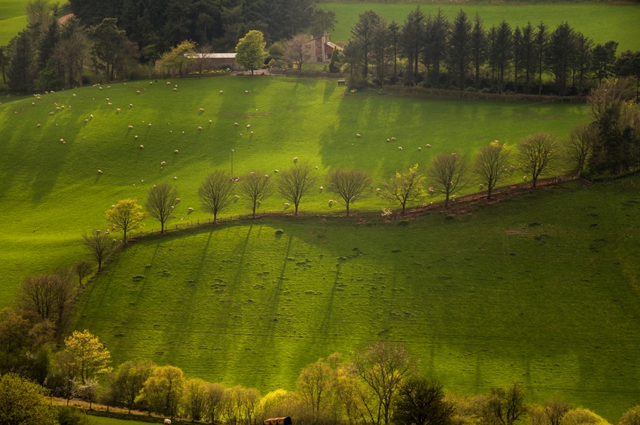 Composition – Keeping It Simple Composition – Keeping It Simple
