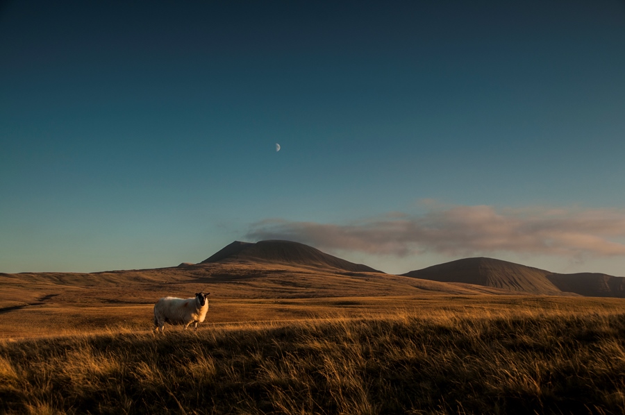 Composition – Keeping It Simple Composition – Keeping It Simple