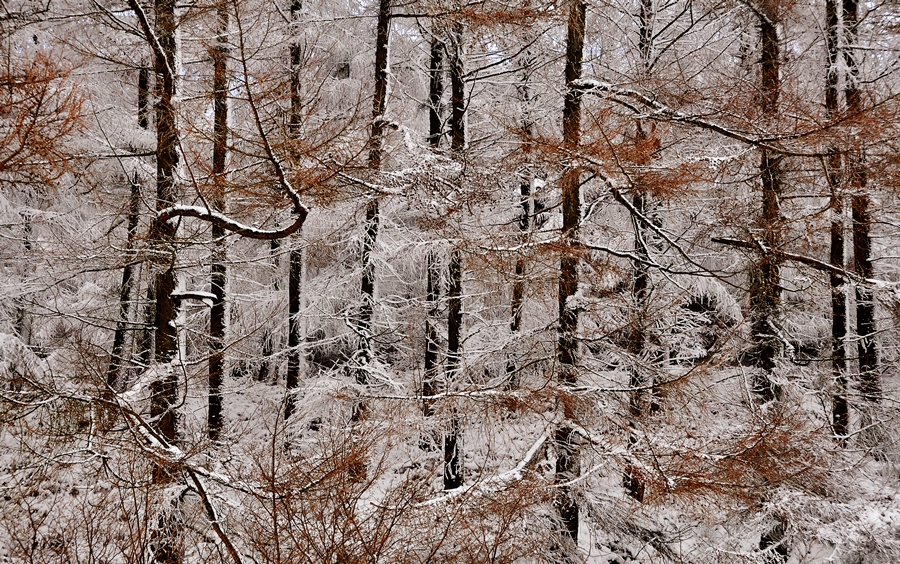 Composition – Keeping It Simple Composition – Keeping It Simple
