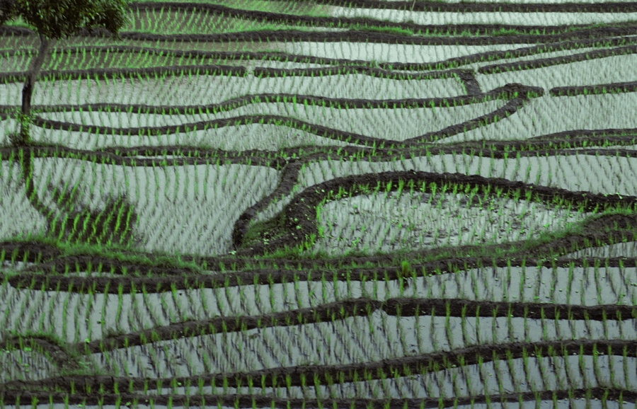 Composition – Keeping It Simple Composition – Keeping It Simple