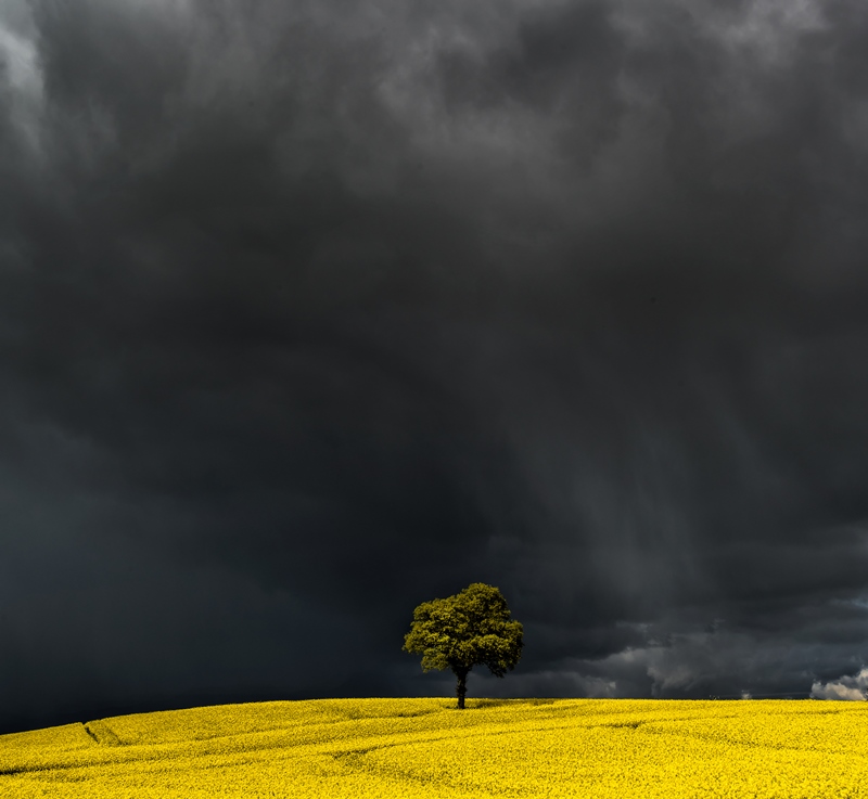 Composition – Keeping It Simple Composition – Keeping It Simple