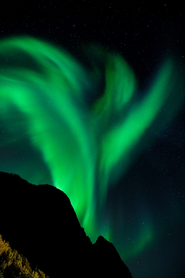 A Photographer’s Guide to Senja in Northern Norway A Photographer’s Guide to Senja in Northern Norway