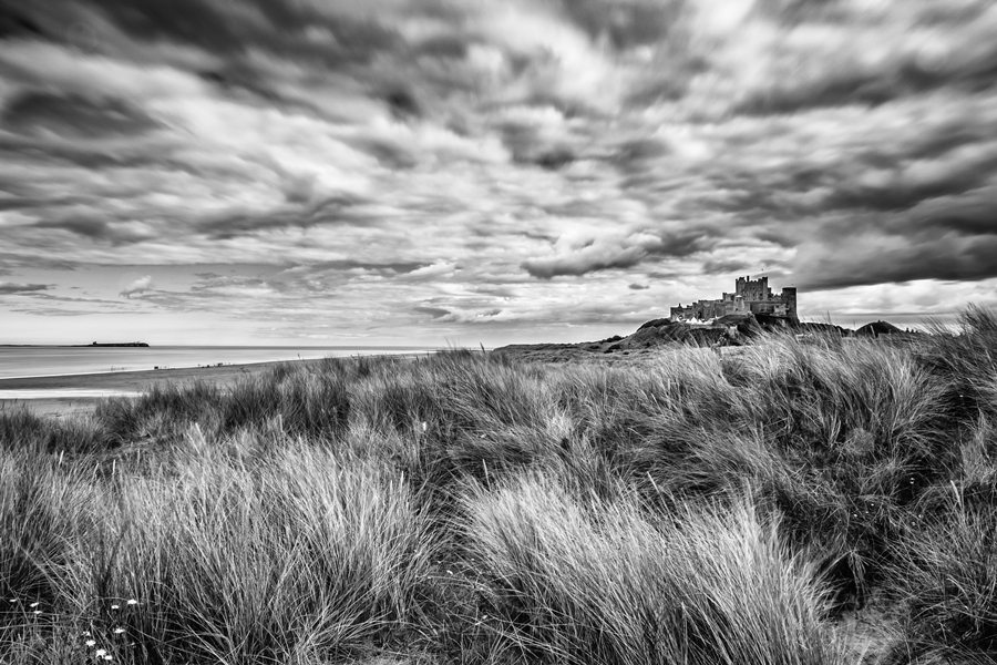 From a daffodil clad Warkworth Castle to puffins on the Farne Islands, Matty Graham shares some of his favourite locations when photographing in Northumberland From a daffodil clad Warkworth Castle to puffins on the Farne Islands, Matty Graham shares some of his favourite locations when photographing in Northumberland