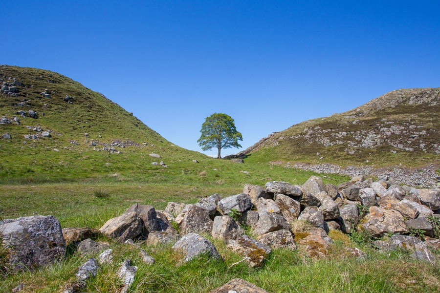 From a daffodil clad Warkworth Castle to puffins on the Farne Islands, Matty Graham shares some of his favourite locations when photographing in Northumberland From a daffodil clad Warkworth Castle to puffins on the Farne Islands, Matty Graham shares some of his favourite locations when photographing in Northumberland