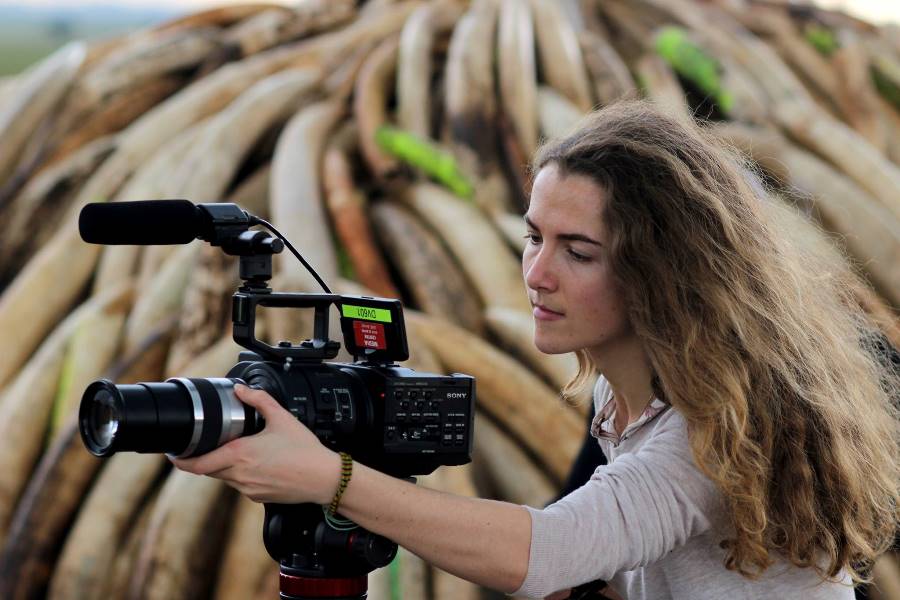 How to Become a Wildlife Filmmaker | 11 Tips How to Become a Wildlife Filmmaker | 11 Tips