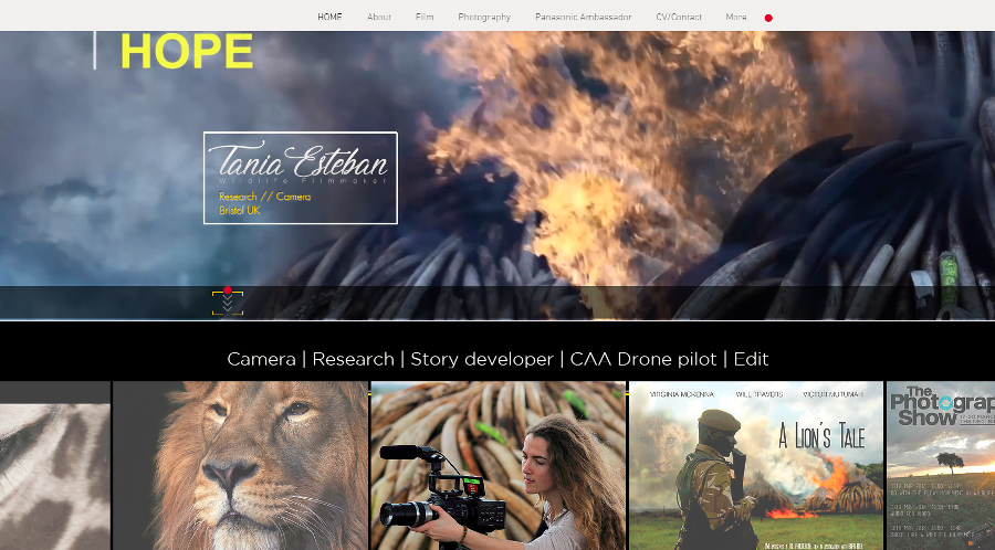 How to Become a Wildlife Filmmaker | 11 Tips How to Become a Wildlife Filmmaker | 11 Tips