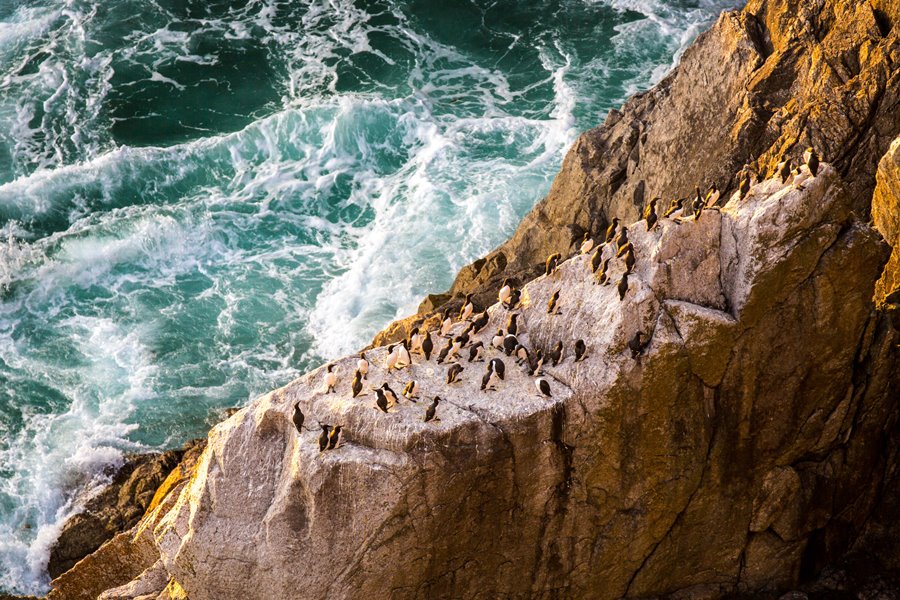 A Photographer’s Guide to Lundy Island A Photographer’s Guide to Lundy Island