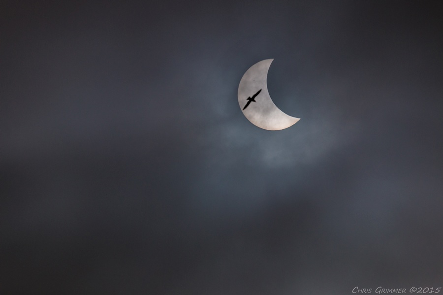 Photographing a Blood Moon | Tips for Shooting a Lunar Eclipse Photographing a Blood Moon | Tips for Shooting a Lunar Eclipse