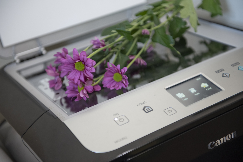 Scanning photography Scanning photography