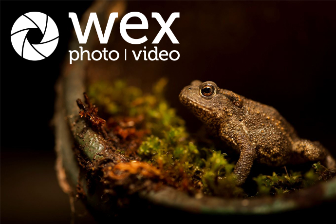If you're lucky enough to have your own garden, you don’t need to go far to capture great images of wildlife. Tom Mason gives us some tips and tricks on capturing amazing wildlife photography in your