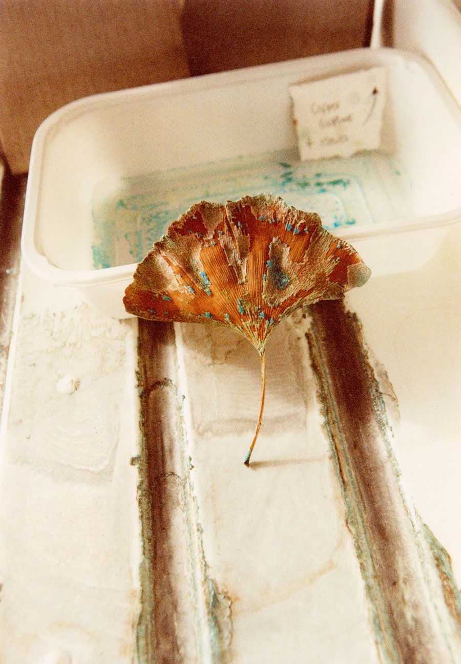 Hannah Fletcher’s studio, images by Jack Johnstone