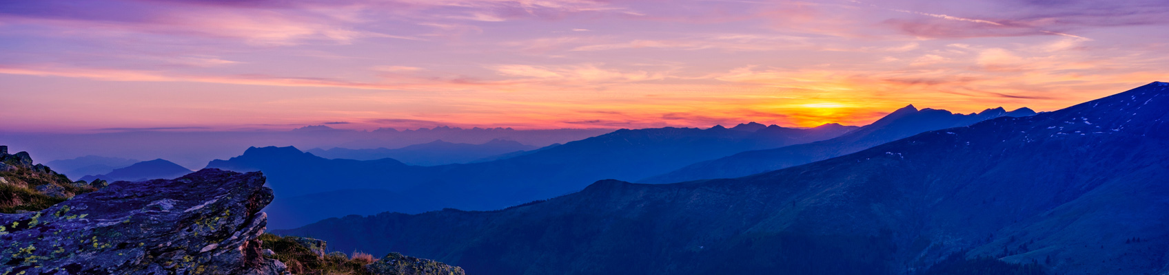 LANDSCAPE TOP.jpg