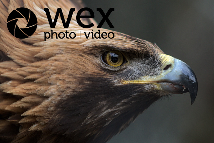 Welcome to our Wildlife Photography Calendar, where you can explore the amazing diversity of UK wildlife throughout the year. Use this page as a hub for all things wildlife photography!