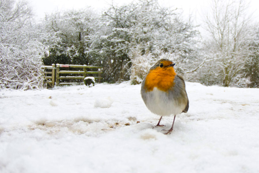 December