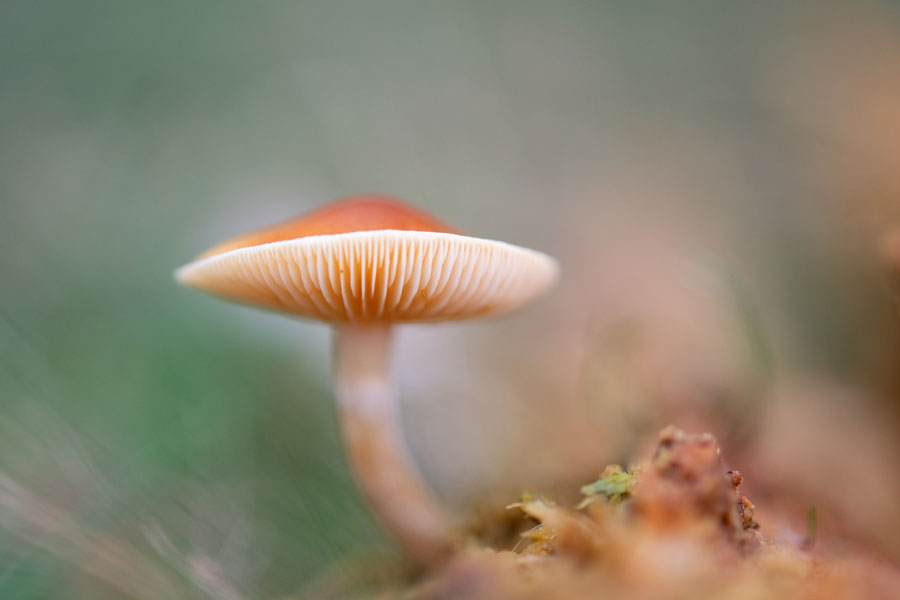 October