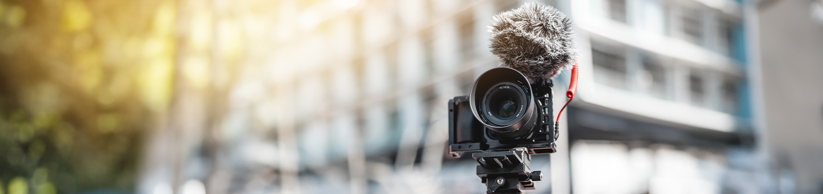 © Wex Photo Video TOP.jpg