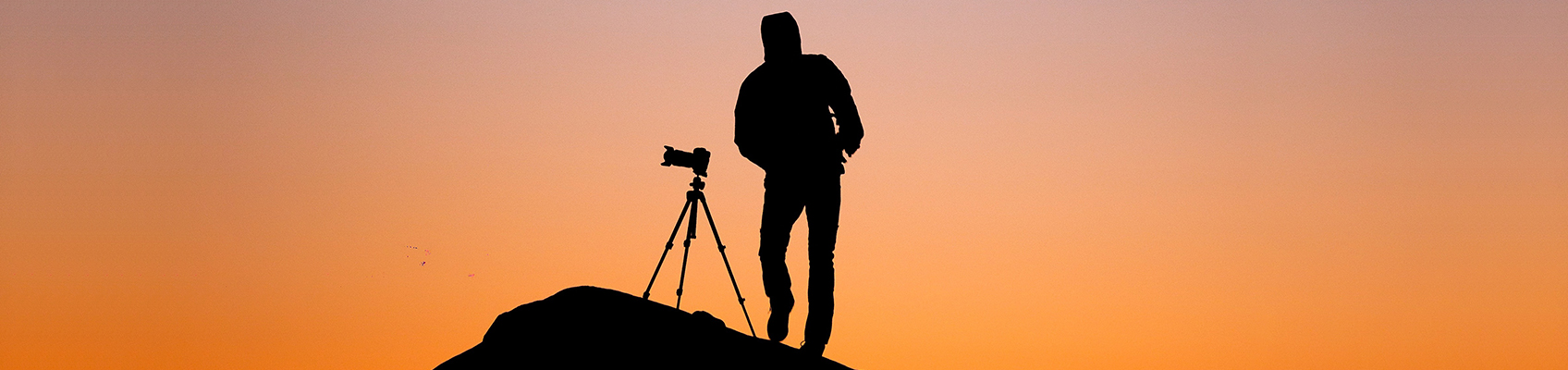 © Wex Photo Video Top.jpg