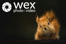 When you think wildlife photography gear, you’ll probably think of long lenses and fancy cameras. While these can be helpful, you’d be shocked what a difference a few inexpensive accessories can make!