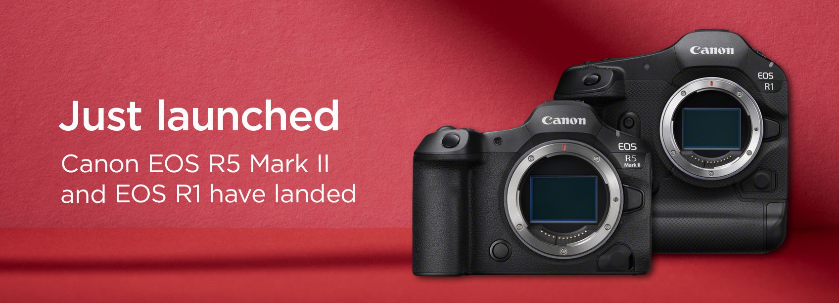 © Wex Photo Video Canon-R1R5II-launch-H-170724.jpg