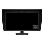 Eizo 31 inch monitor