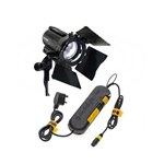 Halogen Lighting