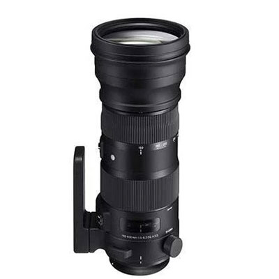 Sigma Nikon Fit Lenses