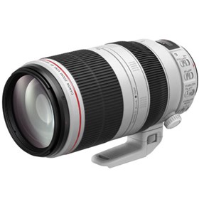 Canon EF 100-400mm f4.5-5.6 L II USM