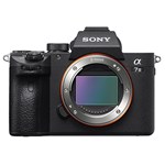 Mirrorless Cameras