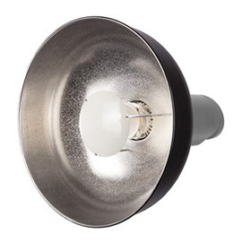 Bowens Beauty Dish