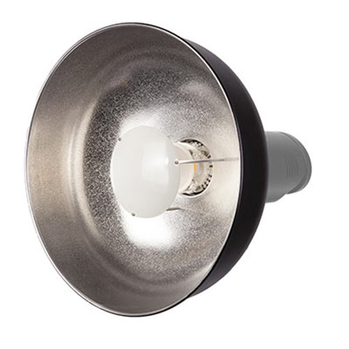 Bowens Beauty Dish