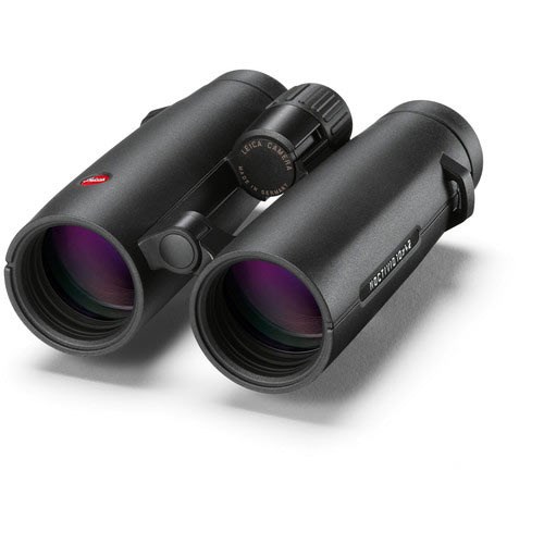 Leica Noctivid 10x42 Binoculars - Black