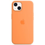 Apple Cases
