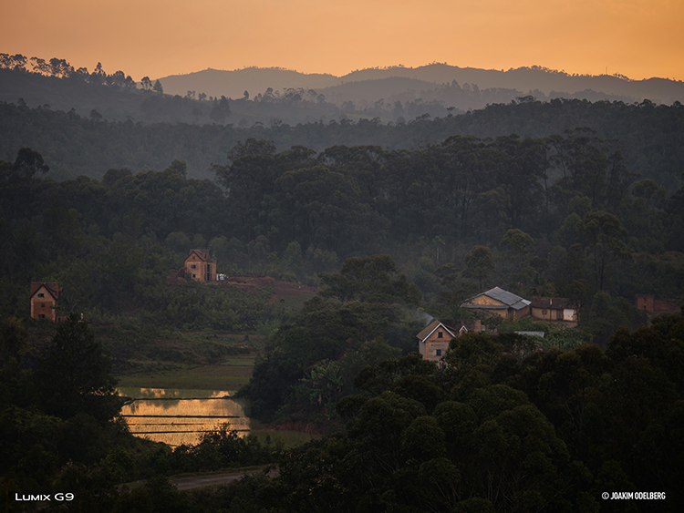 D850 Sample Image