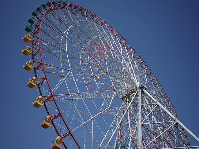 D850 Sample Image