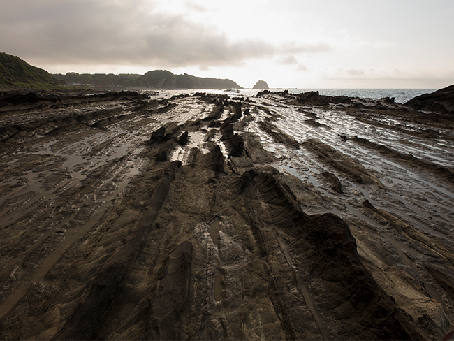 Sigma 14mm f1.8 sample image