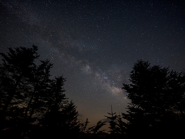 Sigma 14mm f1.8 sample image